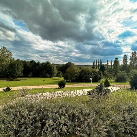  CABINET DE L'ILE : Maison / Villa | METZ (57000) | 254 m2 | 550 000 € 